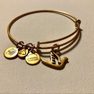 Alex and Ani Charm Bangle